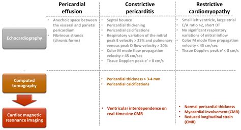 Diagnostics Free Full Text Cardiovascular Involvement In