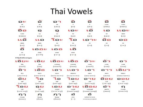 Thai Language Basics Pdf