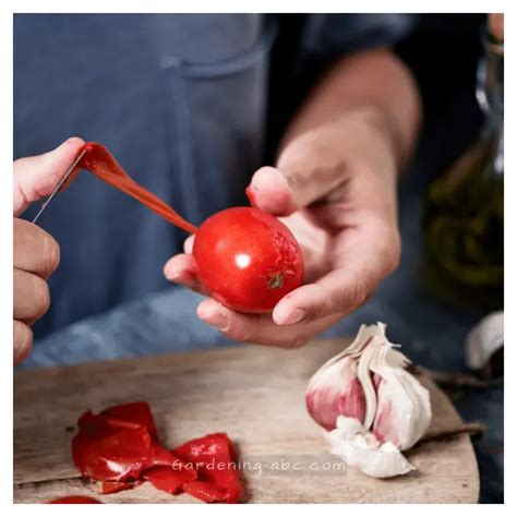 A Really Easy Way To Remove Lectins From Tomatoes