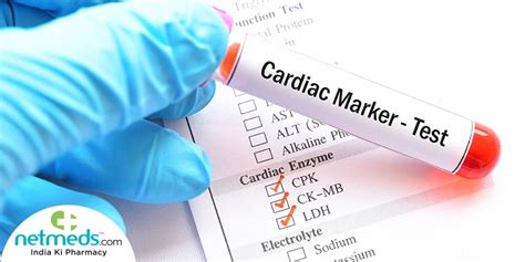 Enzyme Marker Test What Is It And What To Expect