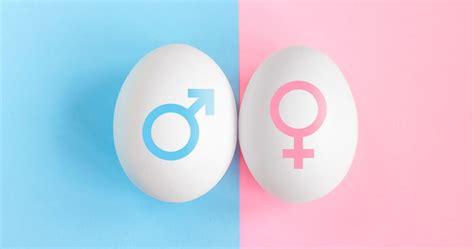 Gender Selection Harvest Fertility Best Ivf Laboratory