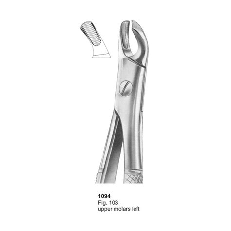 Fig 103 Upper Molars Left Dental Extracting Forceps Charisma Tech