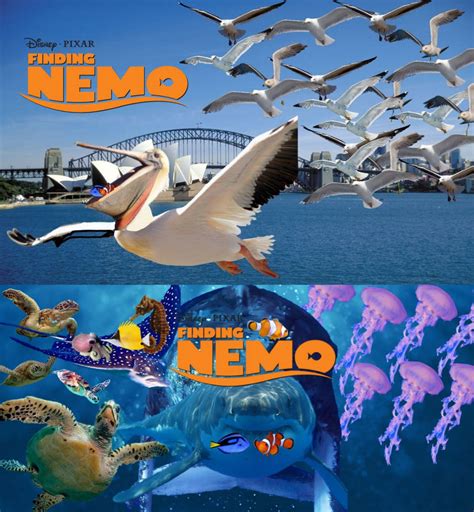 Finding Nemo In Real Life By Danielandresrojas On Deviantart