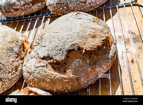 Three Grain Bread Made From Wholemeal Emmer Ruchmehl And Wholemeal Rye