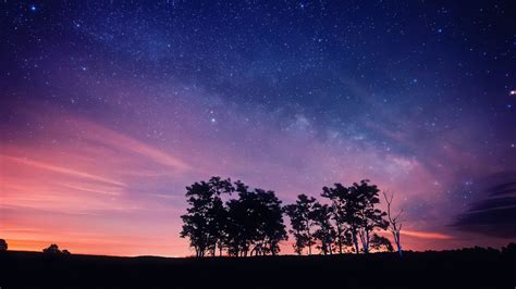 壁紙 紫色の夜空、星、木、シルエット 1920x1200 HD 無料のデスクトップの背景, 画像