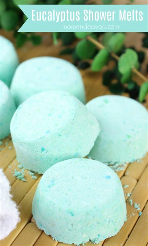 Diy Eucalyptus Shower Steamer Melts