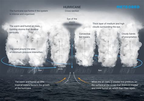 hurricanes form   hurricane models