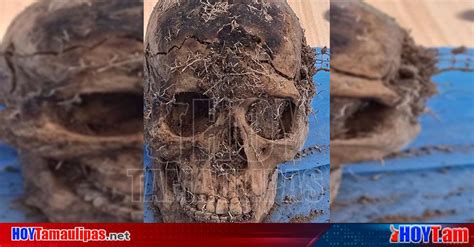 Hoy Tamaulipas Tamaulipas Localizan 2 Cuerpos En Fosa Clandestina De