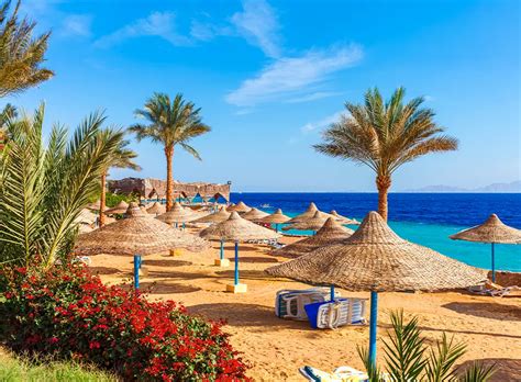 Sharm El Sheikh Tour Package For 5 Days 4 Nights Myholidays