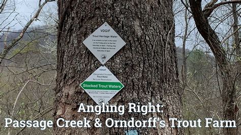 Fly Fishing Passage Creek And Orndorffs Rainbow Trout Farm April 2021