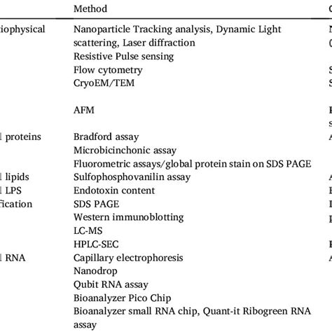 Biogenesis Of Bacterial Extracellular Vesicles BEVs BEVs Secreted