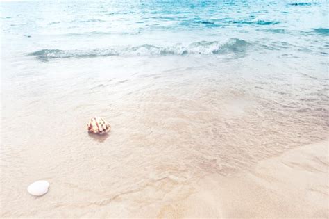 Una Playa De Arena Con Hierba Que Crece De La Arena Foto Premium