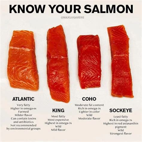 Know Your Salmon Rcoolguides