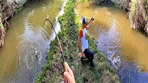 En Busca De La Tararira Tornasol Pesca De Tra Ra Lugar Magico Youtube