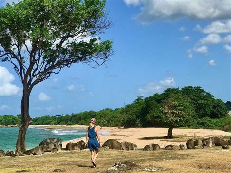 Excursion En X Dans Le Nord De La Basse Terre En Guadeloupe