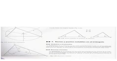 F Rectas Y Puntos Notables En El Tri Ngulo Mediatriz Y Circuncentro
