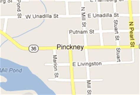 Downtown Pinckney, Michigan Real Estate and Community Info. | Tom ...