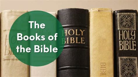 Books of the Bible - Old & New Testament Overview