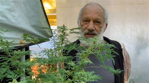 Ricardo Petraglia Mostra P S De Maconha E Avisa Aos Amigos N O Posso