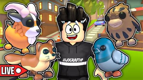 Live Urban Egg Kommt Jetzt Raus Mit Neuen Pets In Adopt Me Youtube