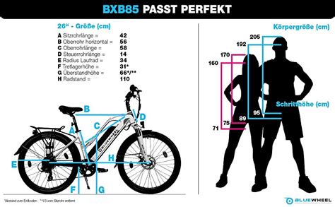 Zoll Fahrrad Damen F R Welche K Rpergr E Best Trend News And