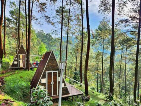 Locca Lodge Trawas Harga Glamping Daya Tarik