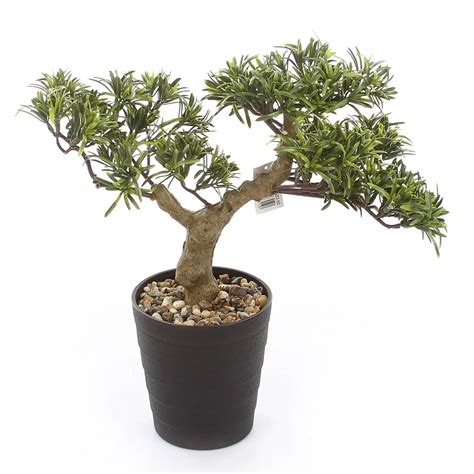 Sztuczny Bonsai Podocarpus 40x40 Cm Hydroponika Pl