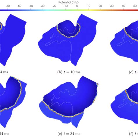 New Mox Report On Discontinuous Galerkin For The Heterodimer Model Of