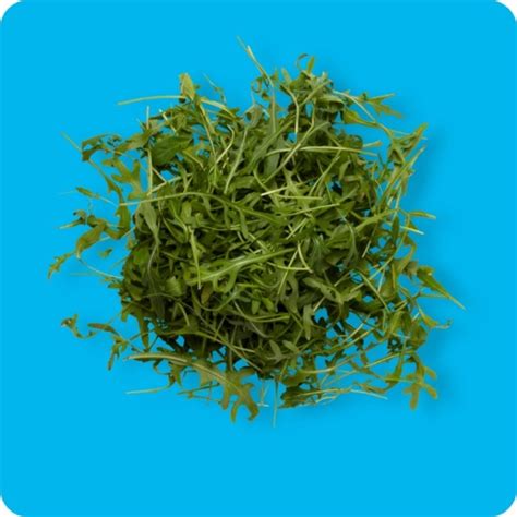 Rucola Von Aldi S D Ansehen