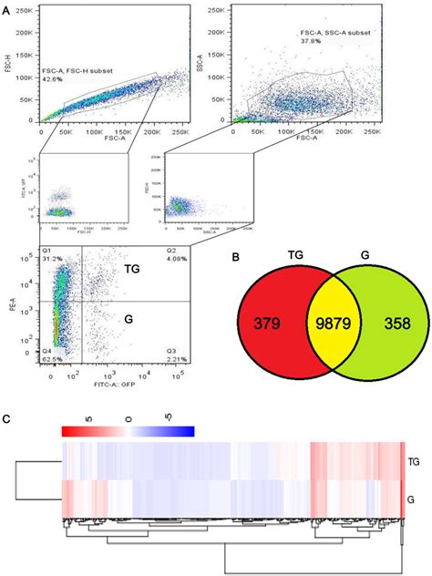 Fluorescence Activated Cell Sorting Facs And High Throughput