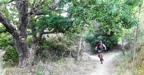 Vtt N Entre Ocres Vignes Et For T Gargas Loisirs Sportifs