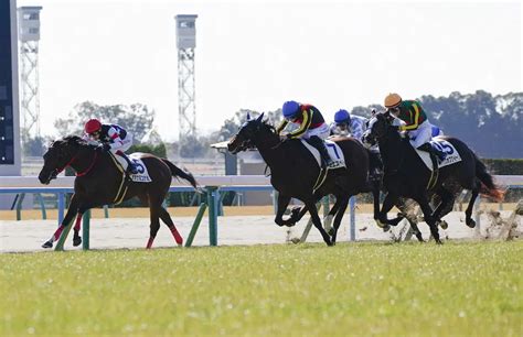 ＜京都5r＞新馬戦を制したミエスペランサ（中央）（撮影・中辻 颯太） ― スポニチ Sponichi Annex ギャンブル