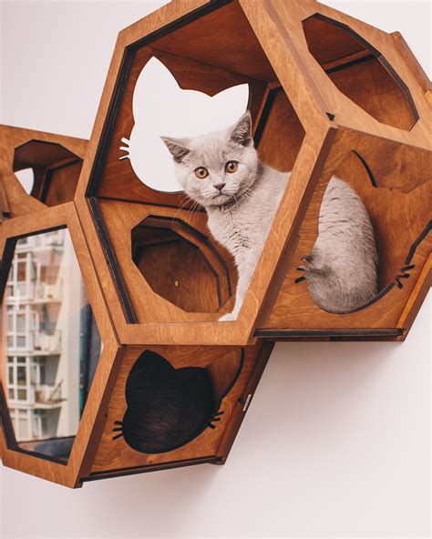 Cat Shelves For Wall Hexagon Cat Shelf Modern Cat Furniture Etsy