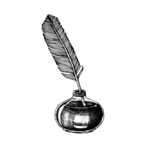 Images De Dessin Plume Téléchargement Gratuit Sur Freepik