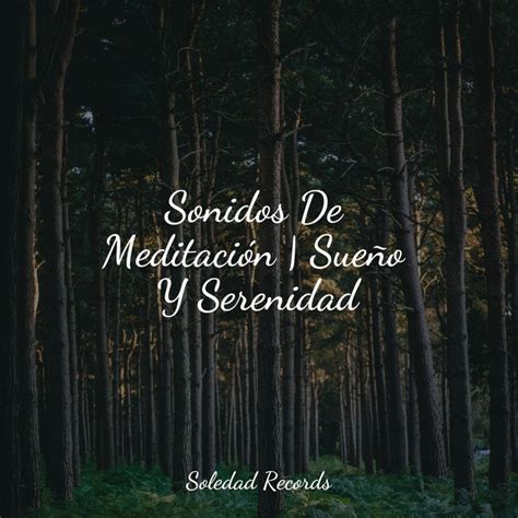 Sonidos De Meditaci N Sue O Y Serenidad Album By Medita O Yoga