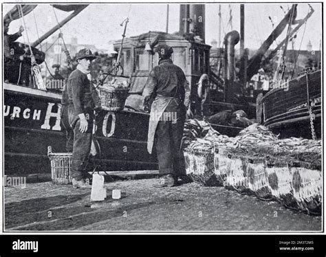 Fishermen Unloading Their Catch During The Herring Harvest October And