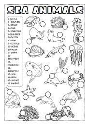 Free Printable Ocean Life Worksheets For Kindergarten - Math Worksheets ...