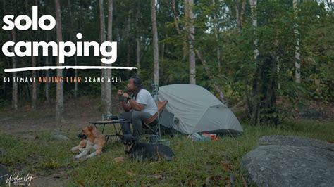 SOLO CAMPING Dalam Hutan Di Temani ANJING LIAR Orang Asli Kuala Kubu