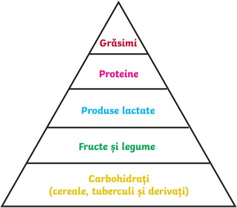 Piramida Alimentelor Pe N Elesul Copiilor Wiki Twinkl