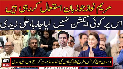 Pti Leader Ali Zaidi Criticizes Maryam Nawaz On Her Statements Video