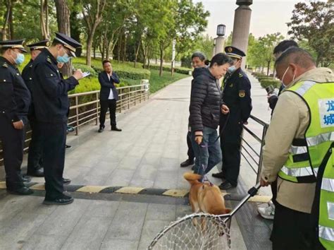 祭城路街道：强强联手稳步推进文明养犬联合执法行动 大河新闻