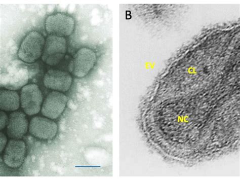 Contaminantes Emergentes Avance Y Perspectiva