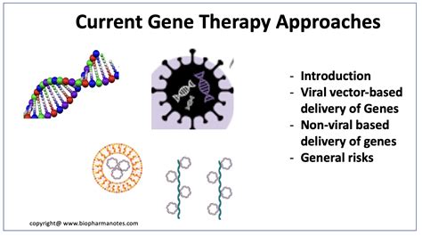 Current Gene Therapy Approaches Biopharma Notes