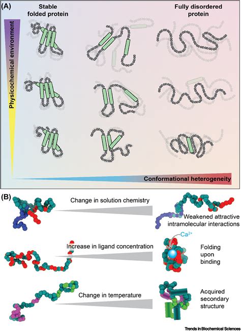 Intrinsically Disordered Regions Are Poised To Act As Sensors Of