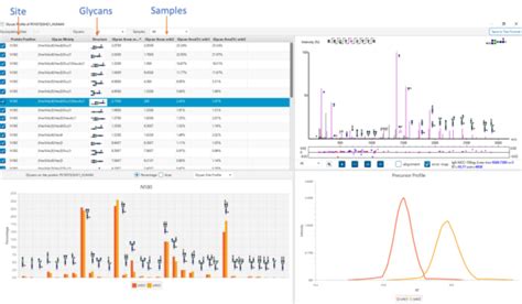 Peaks Glycanfinder Deep Proteomics