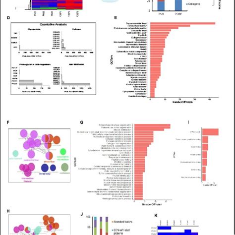 Proteomic Profiling Of PDSF A Heatmap Showing The Fold Changes In