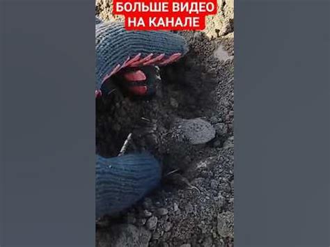 😲 Киевская Русь - пряжка!!! - YouTube