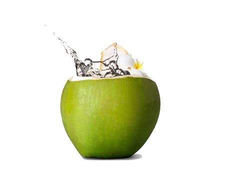 Coconut Png Transparent Images Pictures Photos Png Arts