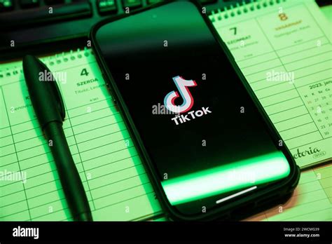 Tik Tok Application On The Screen Of The Apple IPhone 14 Pro Max