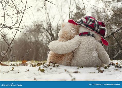 Two Teddy Bears Hugging Each Other Sitting In The Snow In The Forest